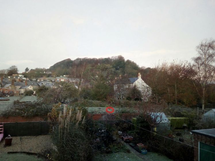 View of Allington Hill 14 November 2019 sunshine and fox